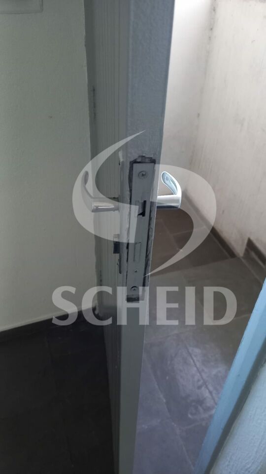 Foto 7