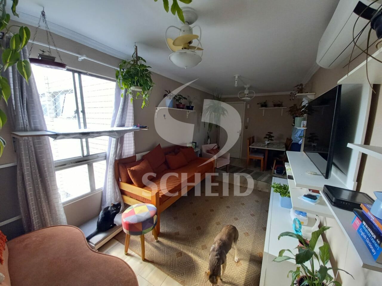 Foto 3