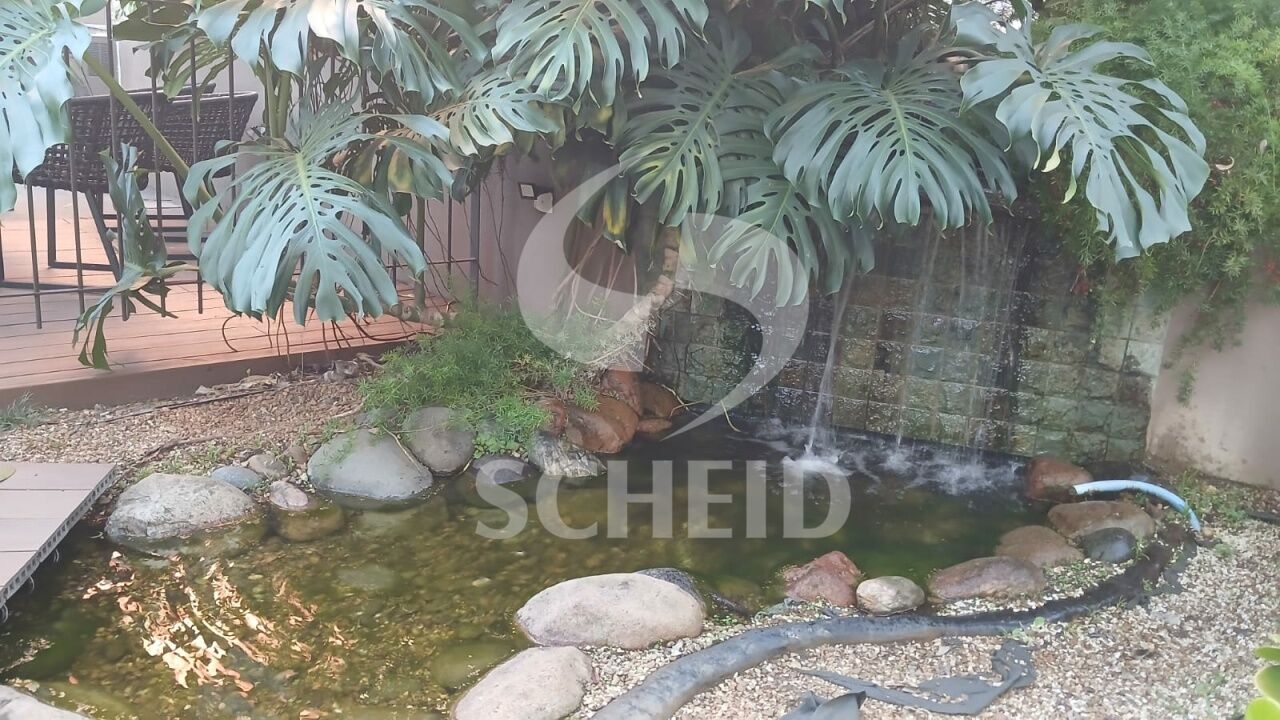Foto 21