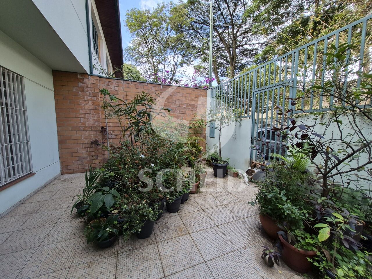 Foto 8
