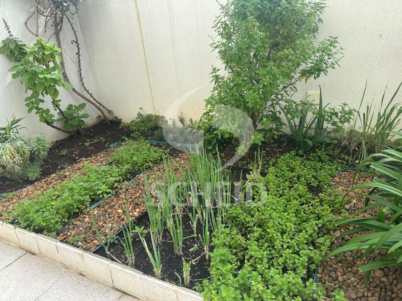 Foto 15