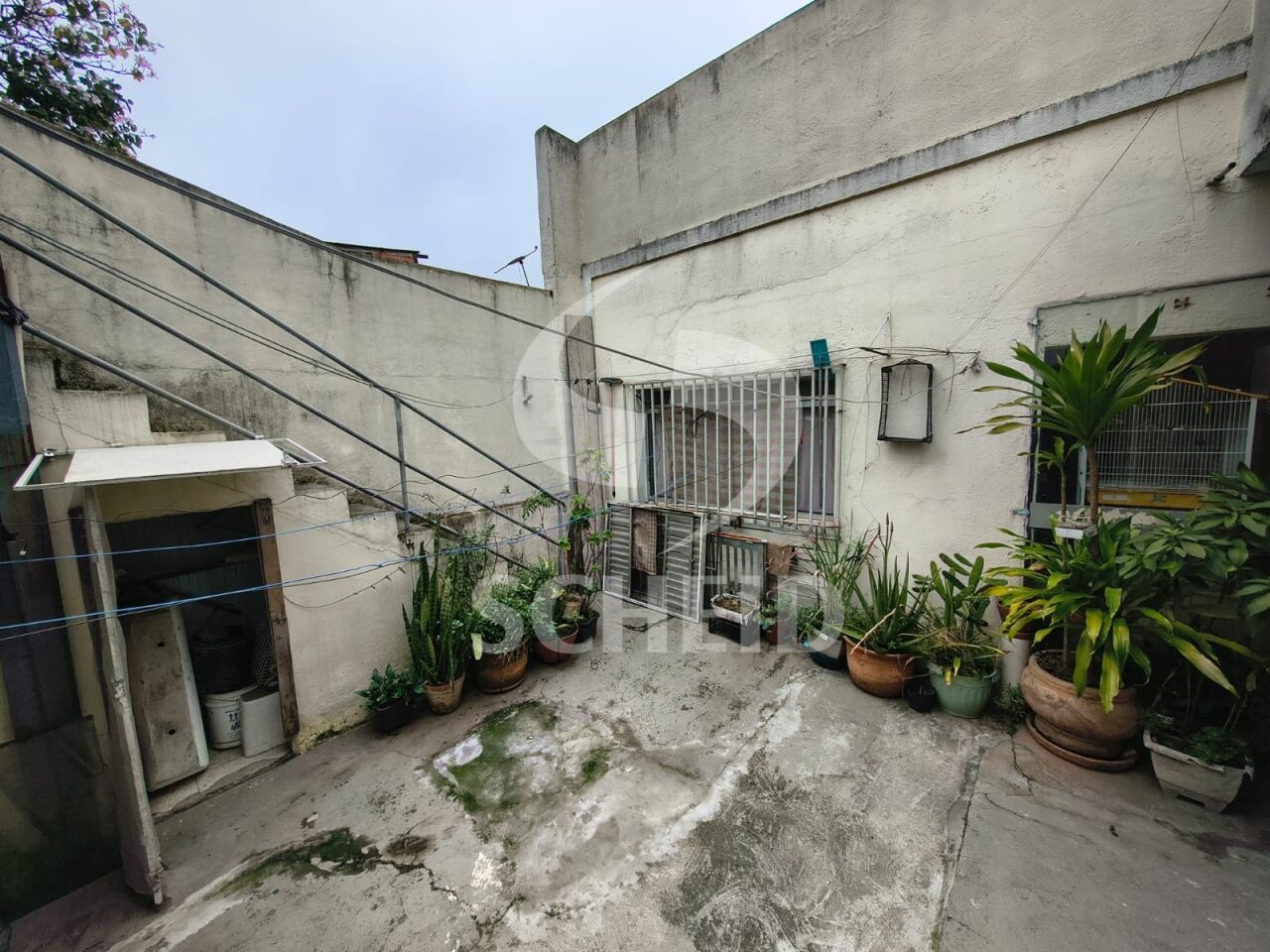Foto 35