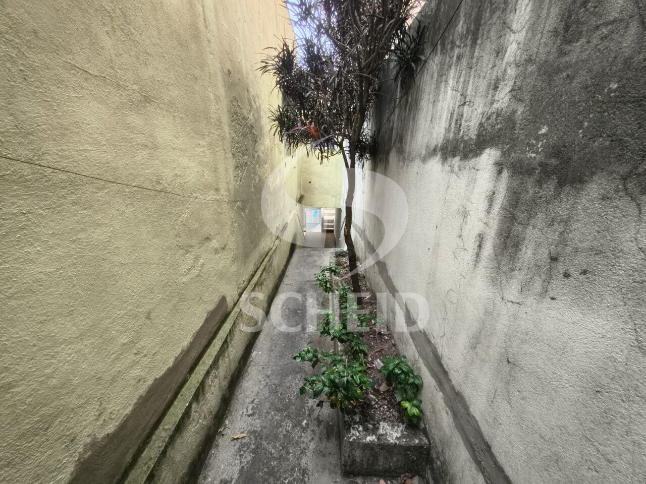 Foto 23
