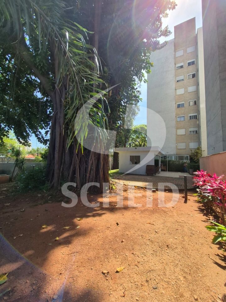 Foto 40