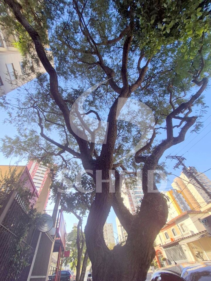 Foto 36