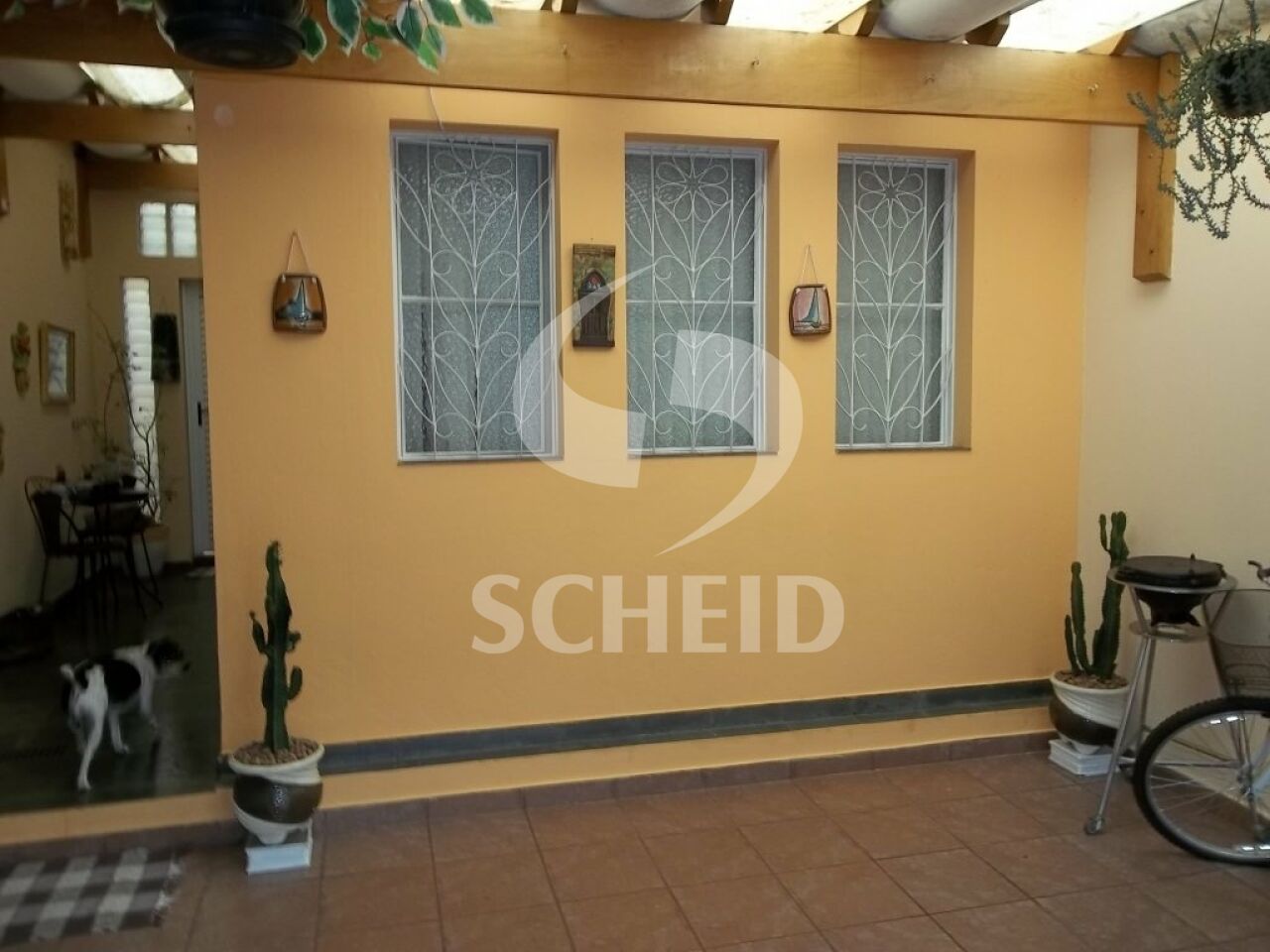 Foto 1