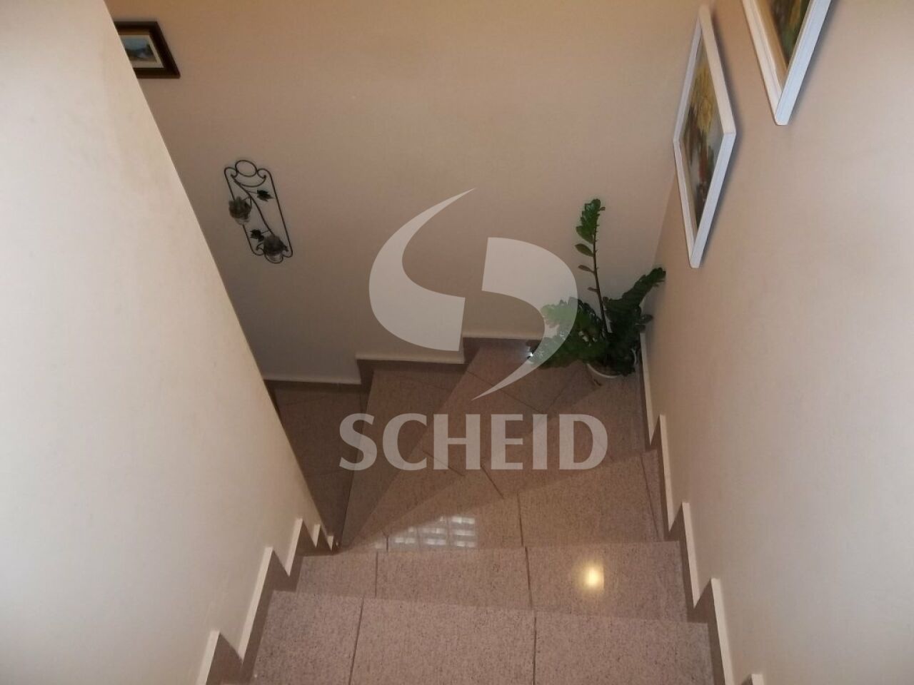 Foto 23