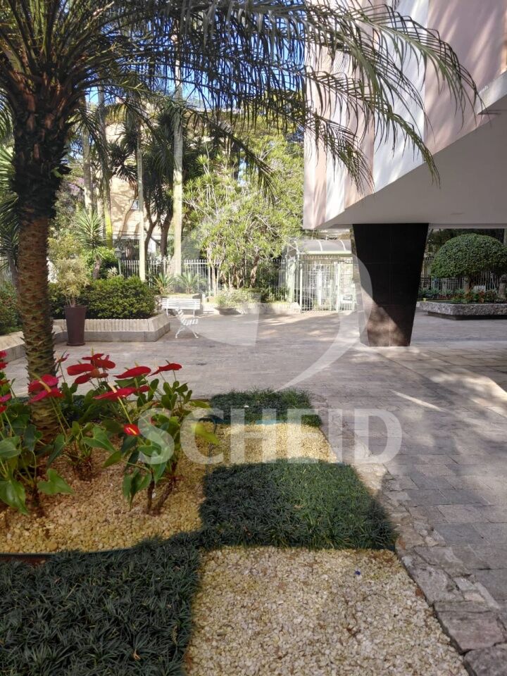 Foto 41