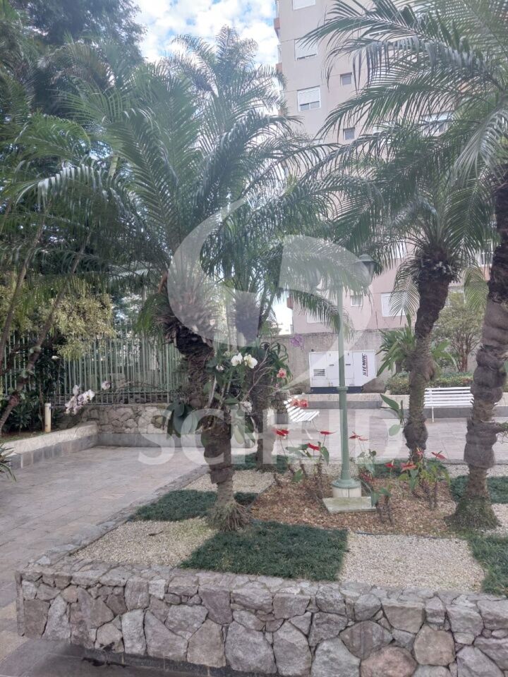 Foto 34