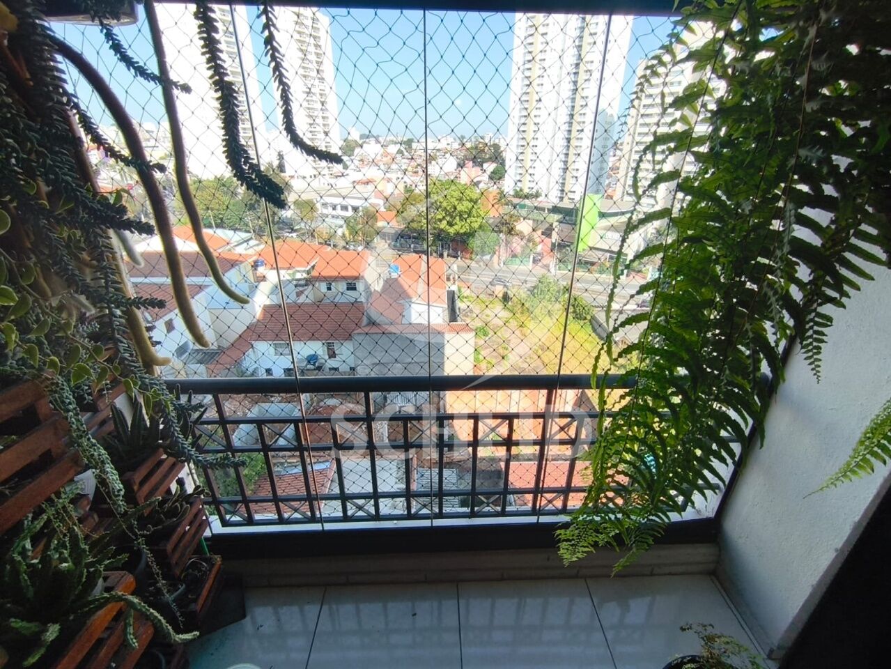 Foto 11