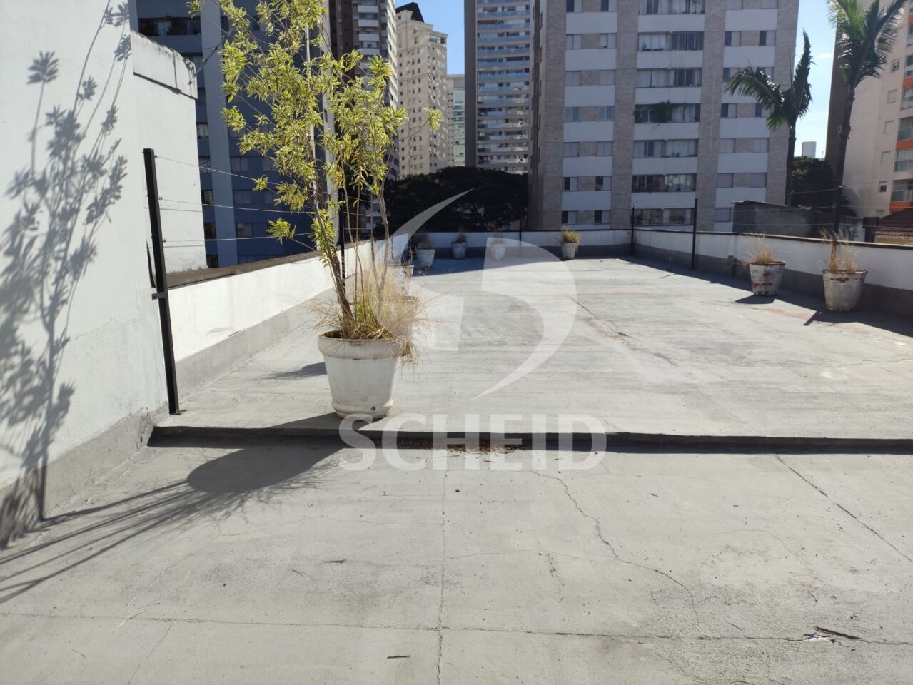 Foto 42