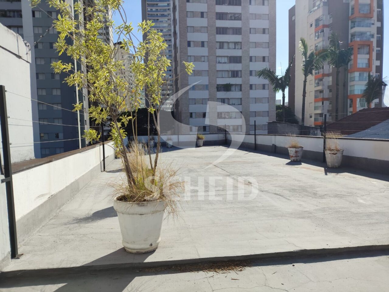 Foto 43