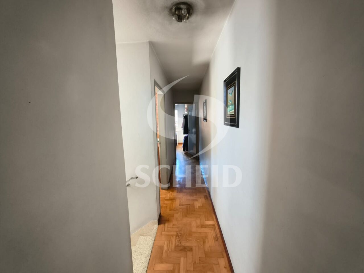 Foto 22