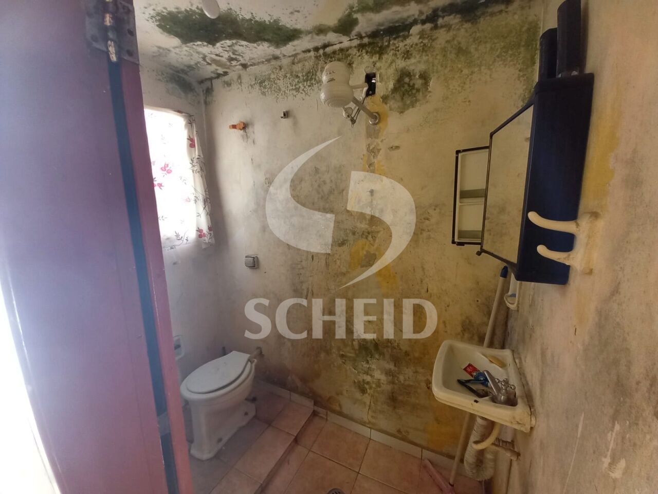 Foto 23