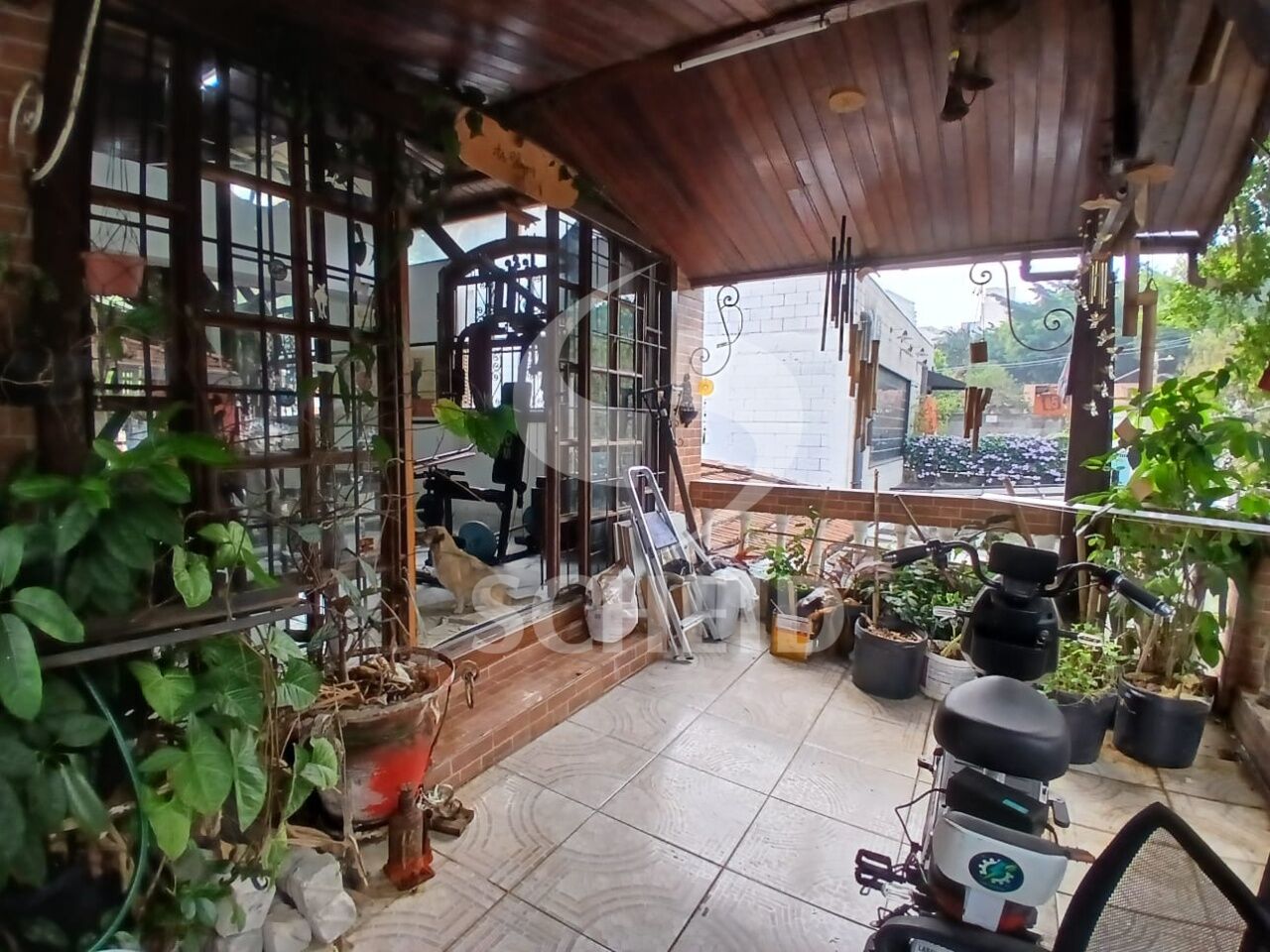 Foto 10