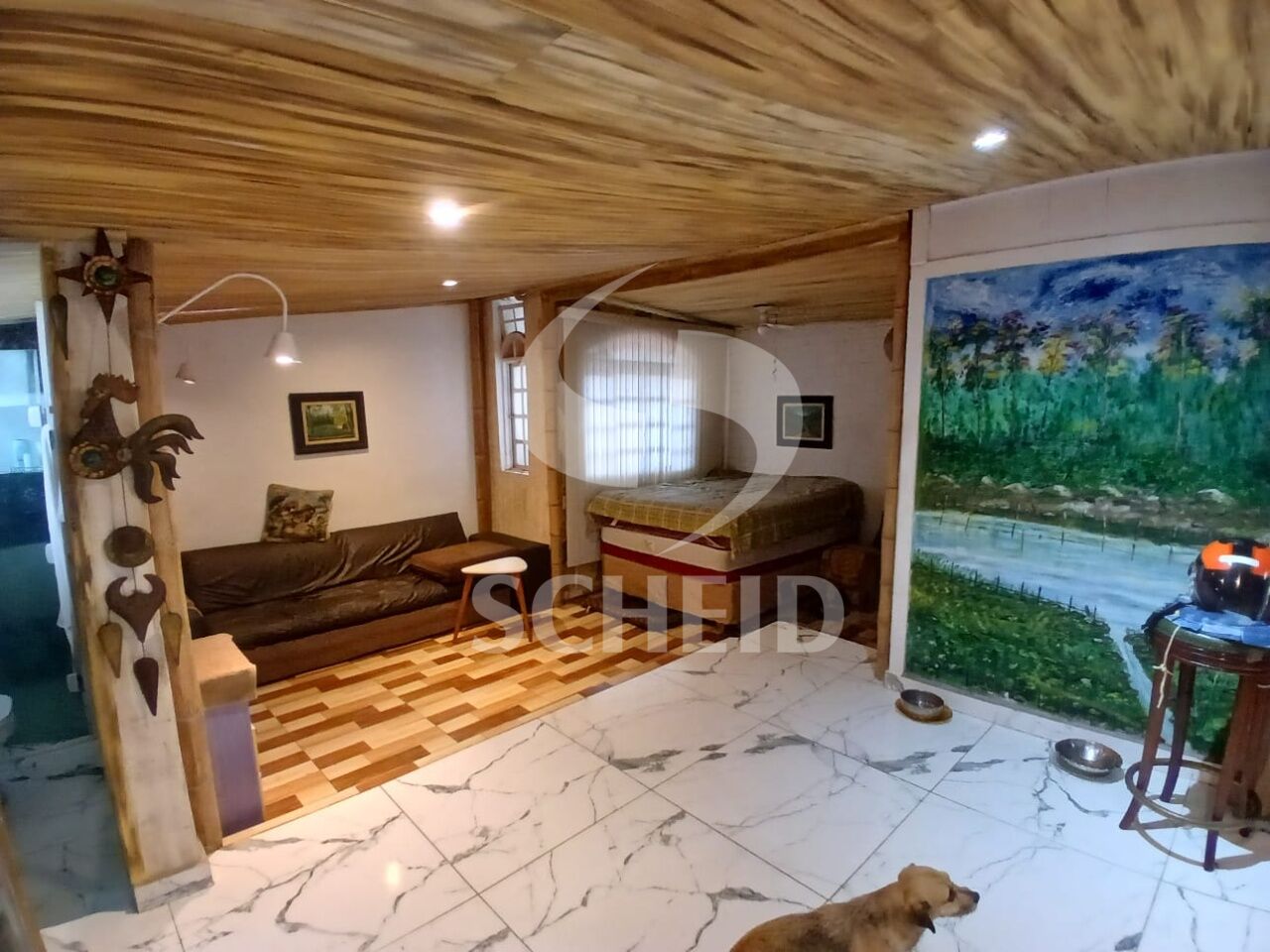 Foto 1