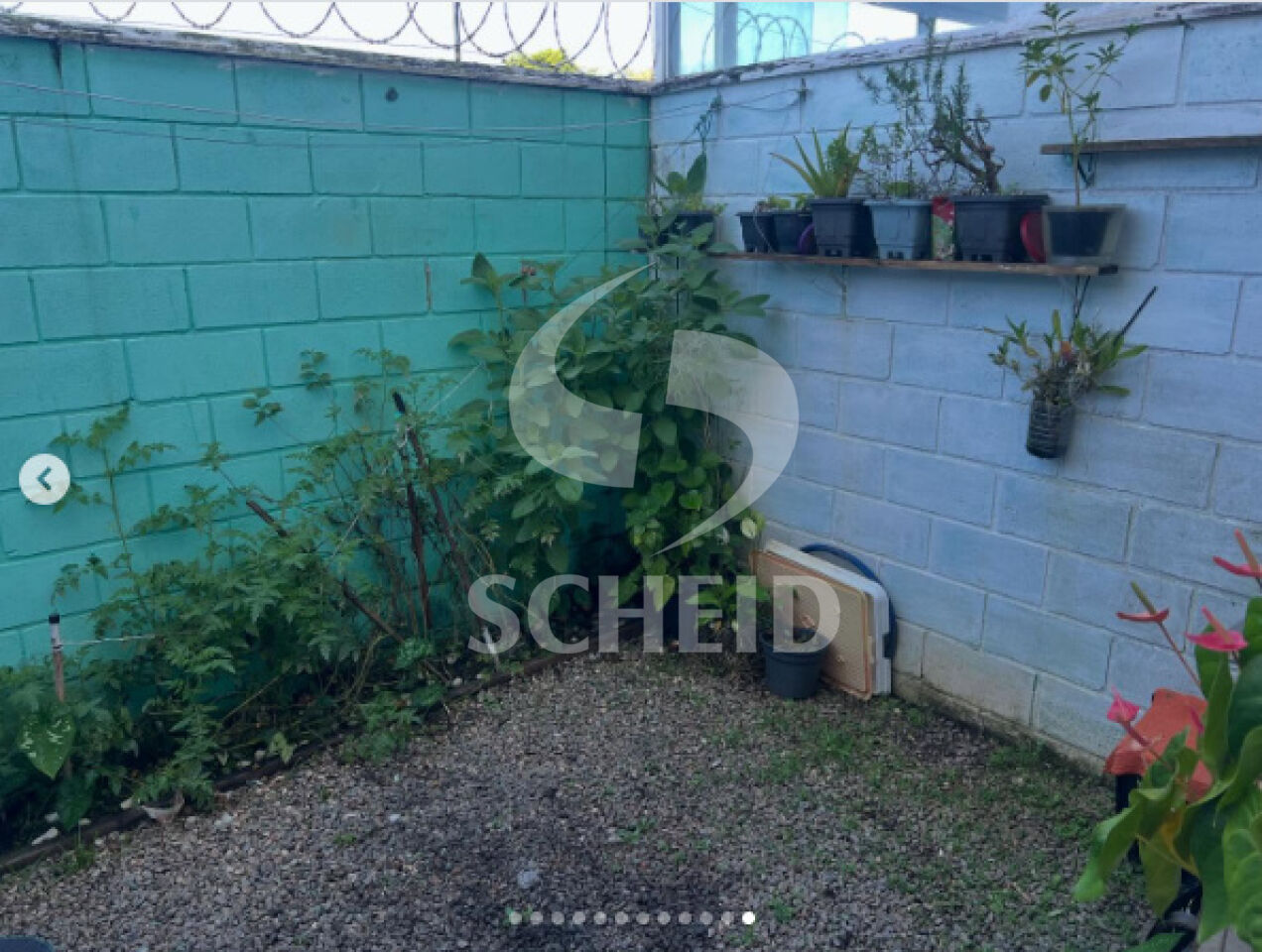 Foto 11