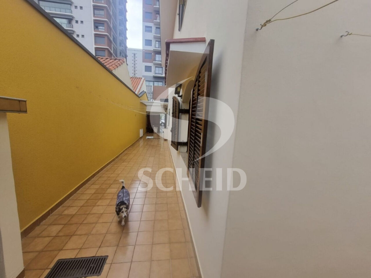 Foto 41