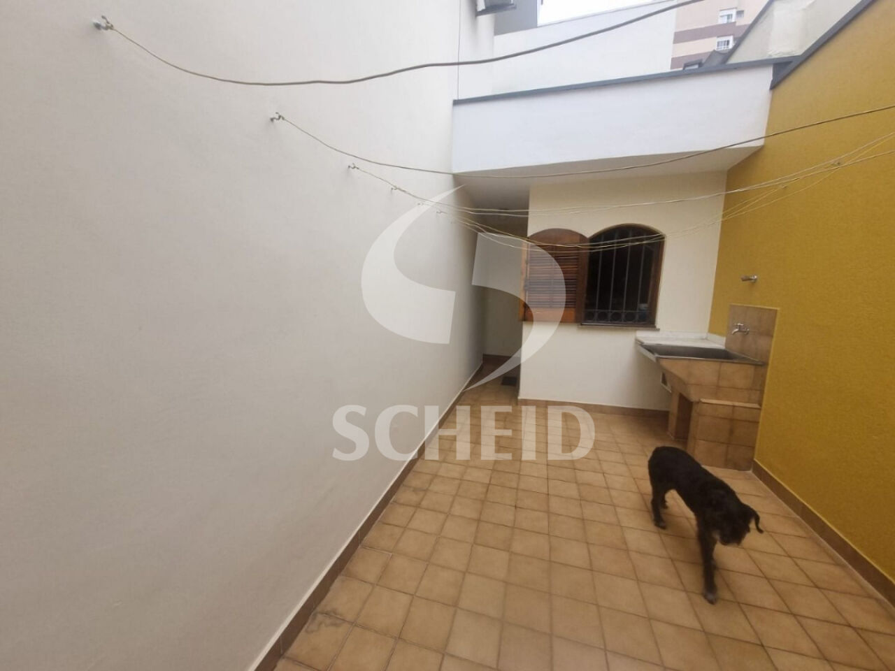 Foto 43
