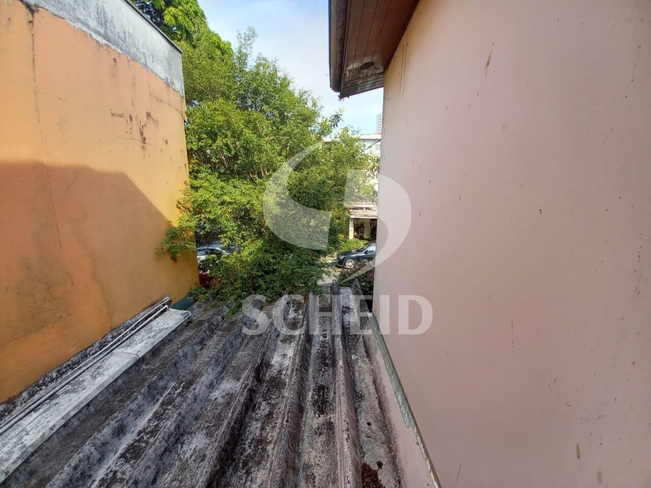 Foto 21