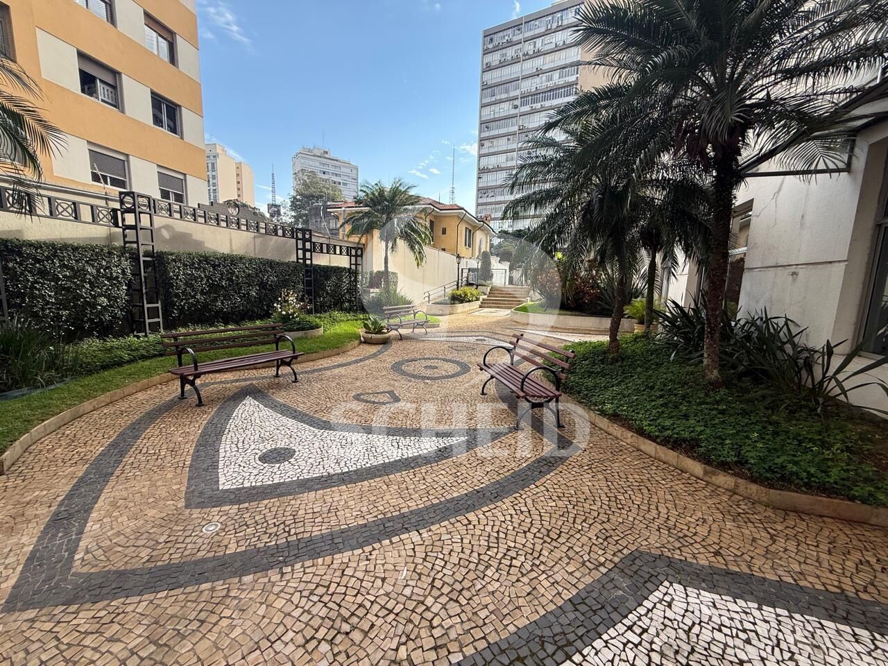 Foto 20