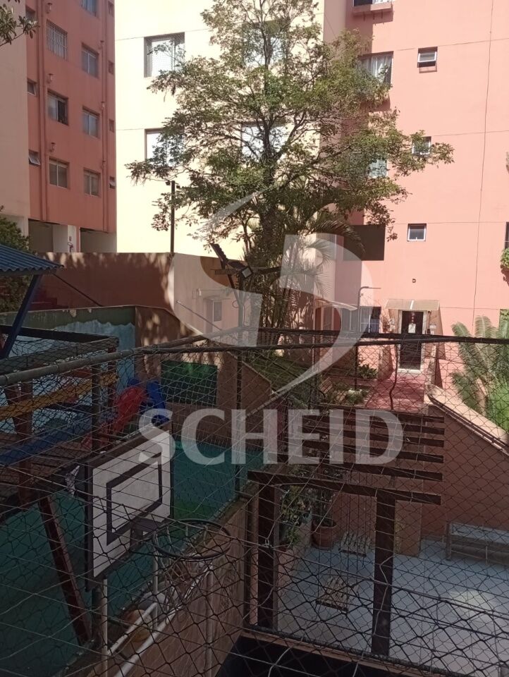 Foto 15