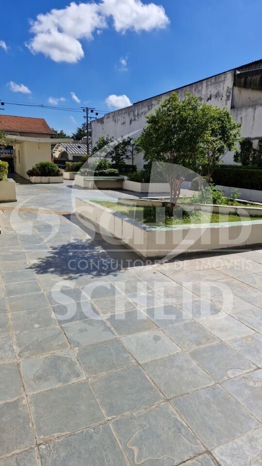 Foto 19