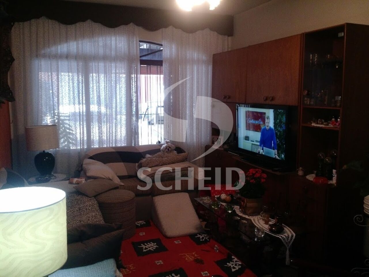 Foto 8