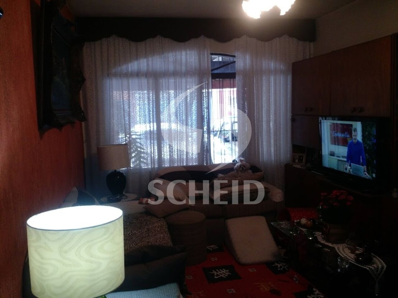 Foto 9