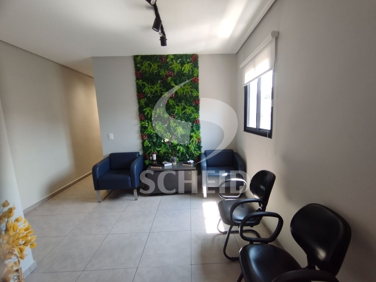 Foto 15