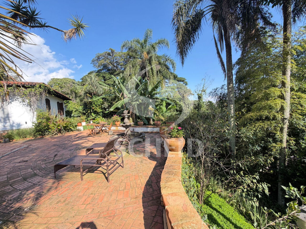 Foto 47
