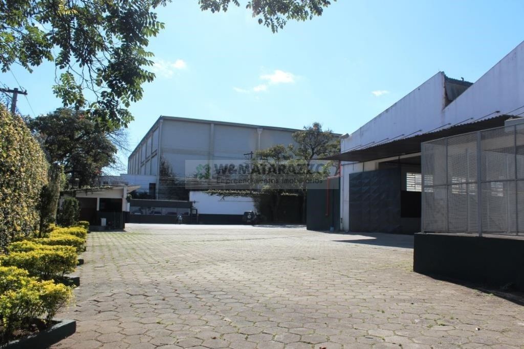 www.wmatarazzo.com.br