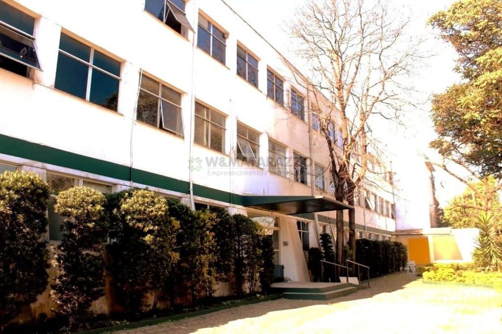 www.wmatarazzo.com.br