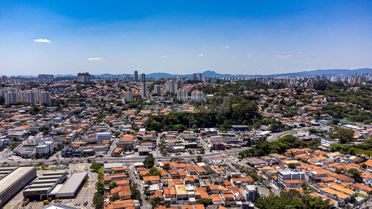 www.wmatarazzo.com.br