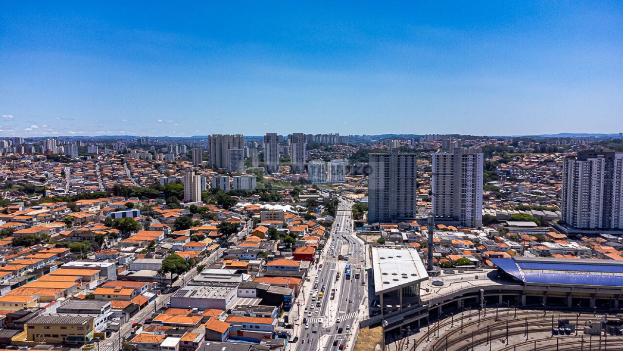 www.wmatarazzo.com.br