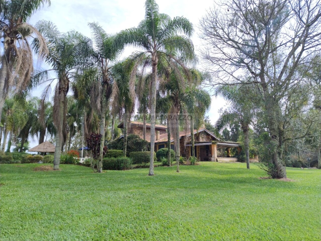 www.wmatarazzo.com.br