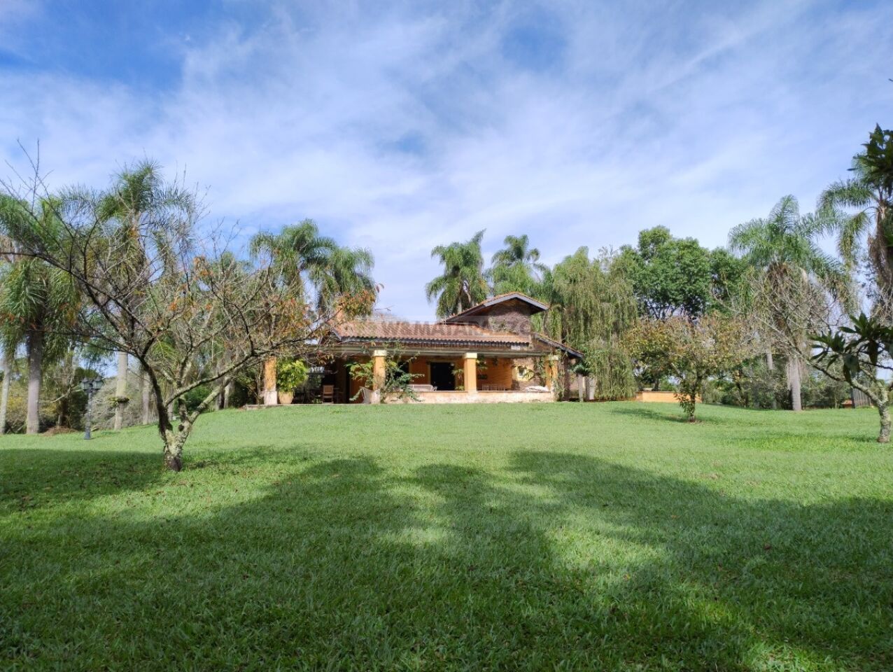 www.wmatarazzo.com.br