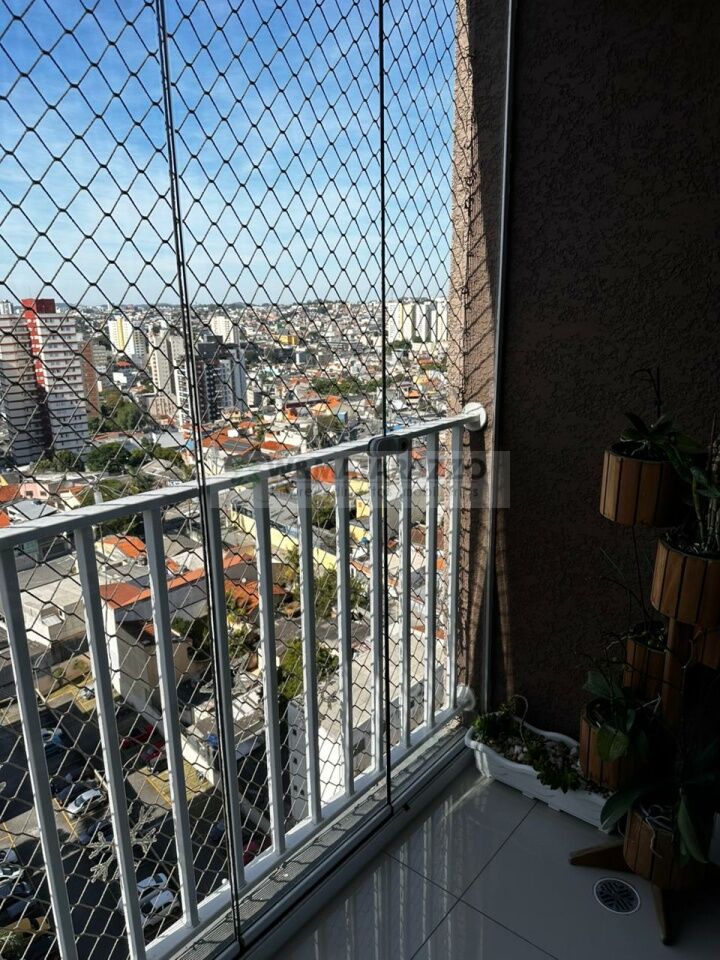 www.wmatarazzo.com.br