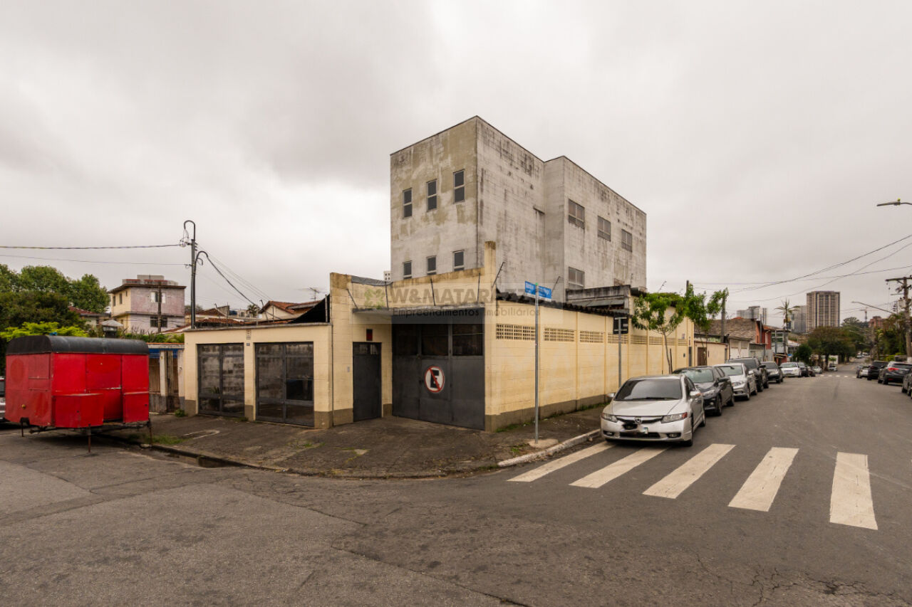 www.wmatarazzo.com.br