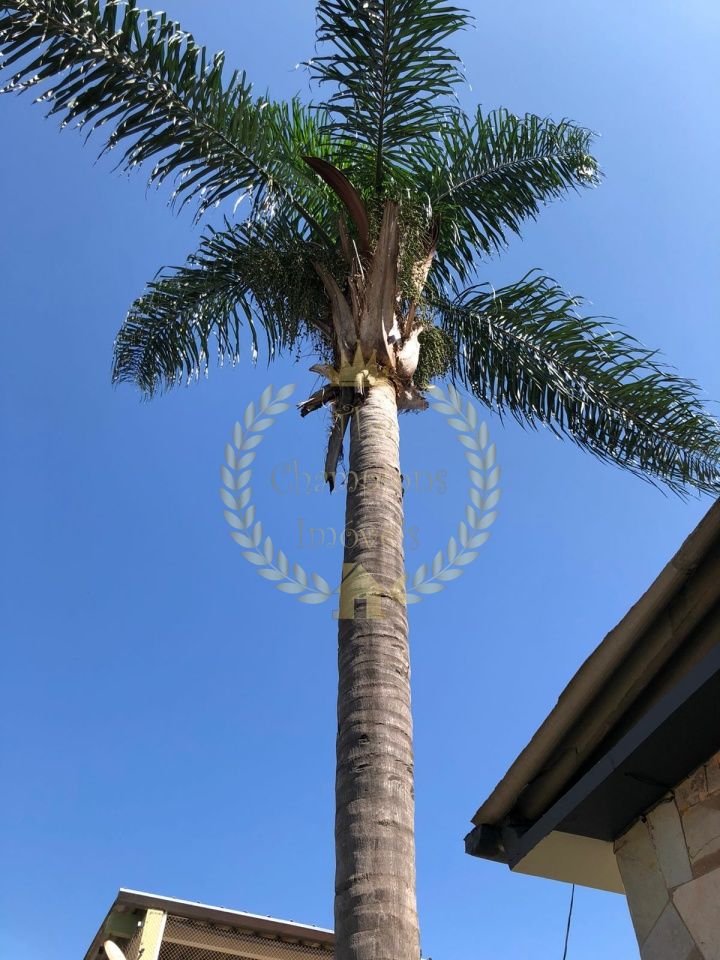 Casa Térrea em Vila Guilherme