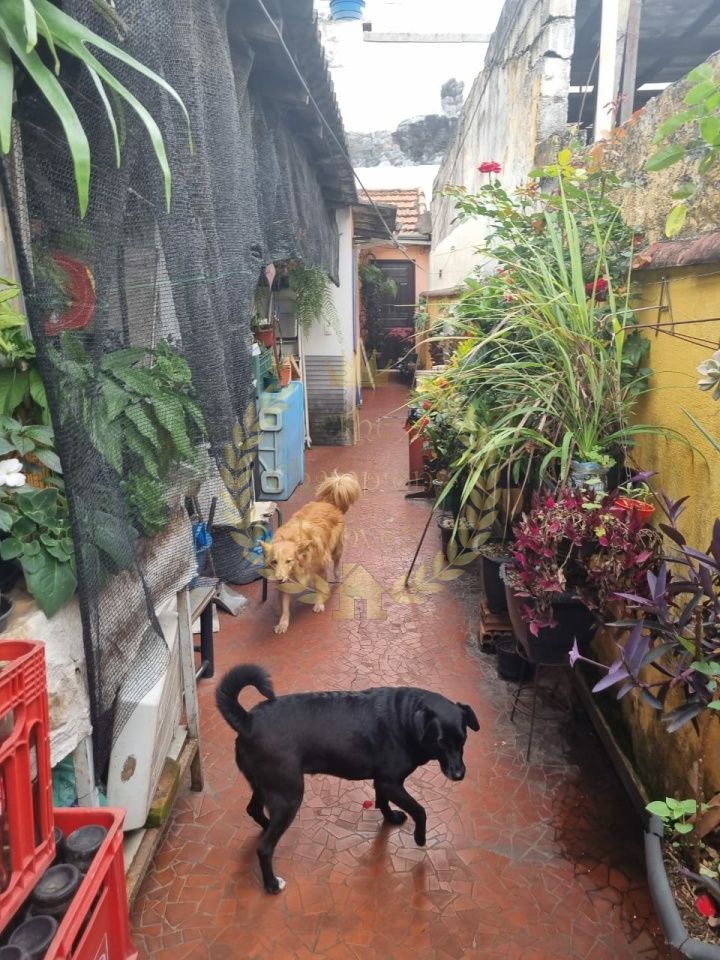 Casa Térrea em Vila Maria