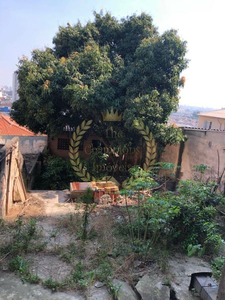Terreno em Vila Maria