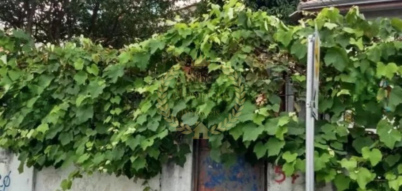 Terreno em Vila Guilherme