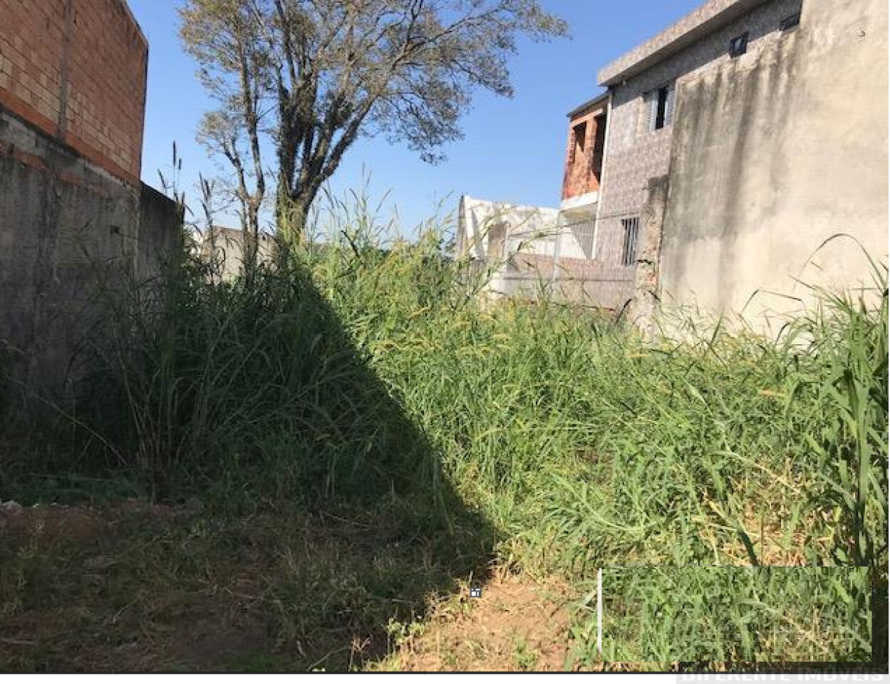 Terreno para Venda - Vila Cosmopolita