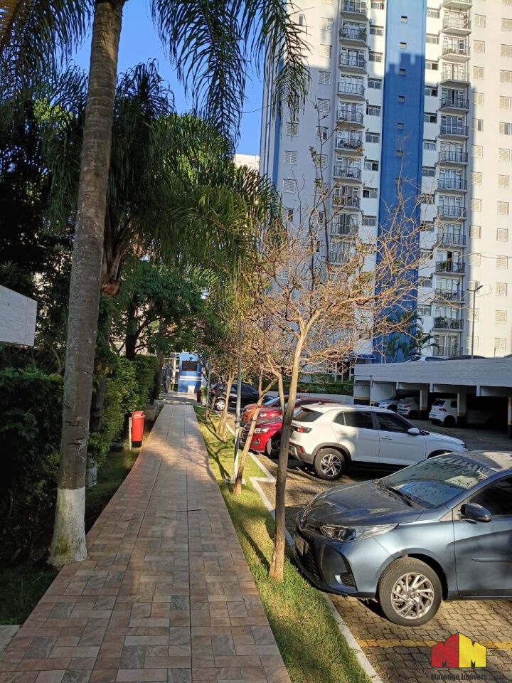 Foto 21 do imóvel MI11631