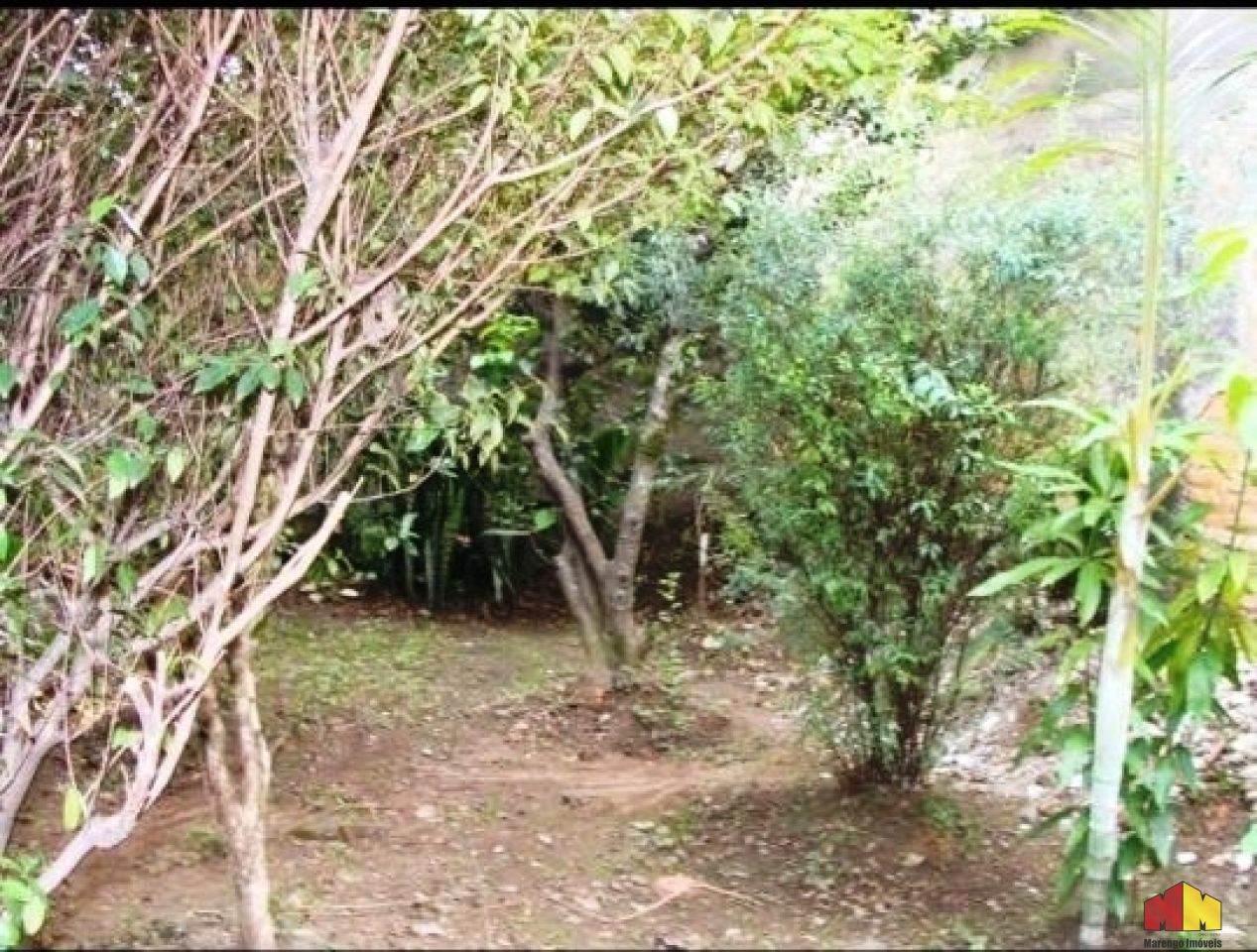 Foto 3 do imóvel MI14487