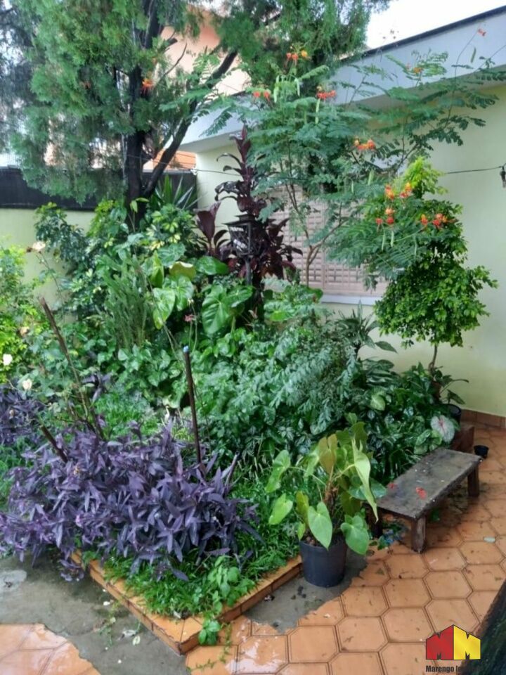 Foto 4 do imóvel MI17181