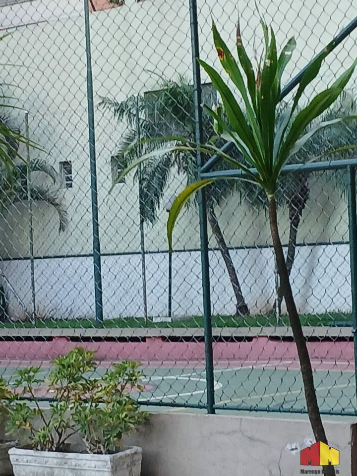 Foto 26 do imóvel MI17250