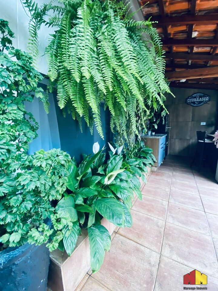 Foto 13 do imóvel MI18683