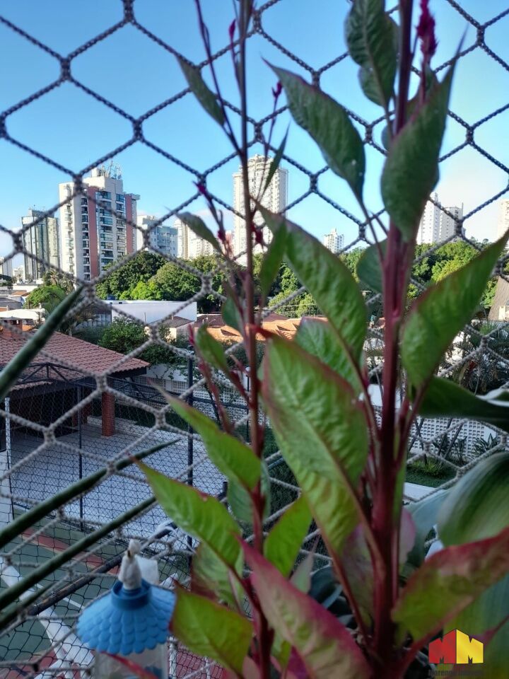 Foto 4 do imóvel MI2073